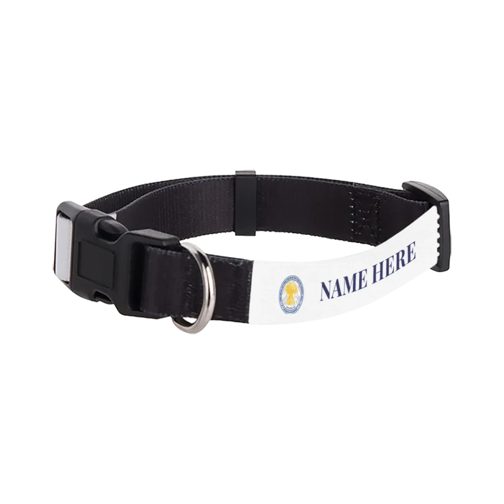 Personalized Adjustable Pet Collar