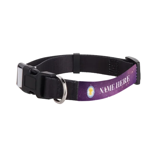 Personalized Adjustable Pet Collar - Image 4