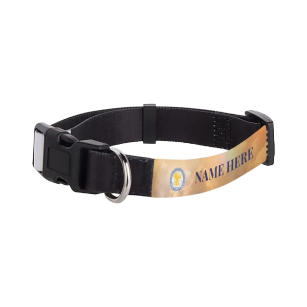 Personalized Adjustable Pet Collar - Image 3